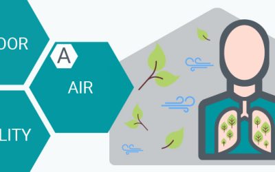 Indoor Air Quality – The Importance of Doing Something