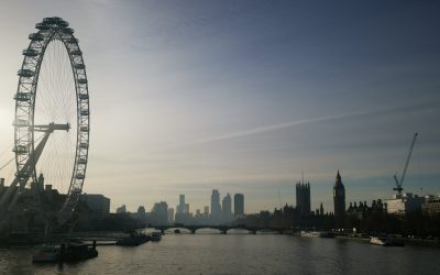 We Function Better, Small Businesses